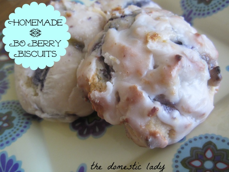 blue berry biscuits 009